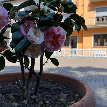 Holiday home Ca Del Fili Lenno