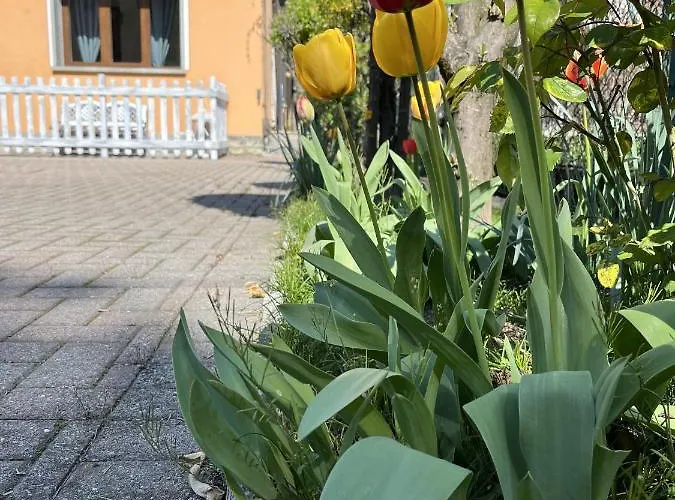 Ca Del Fili Дом отдыха