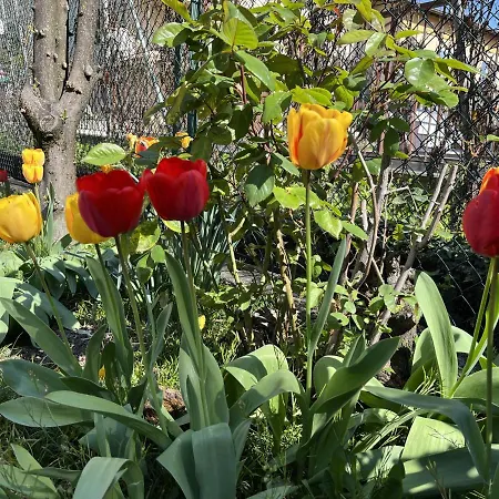 Feriehus Ca Del Fili