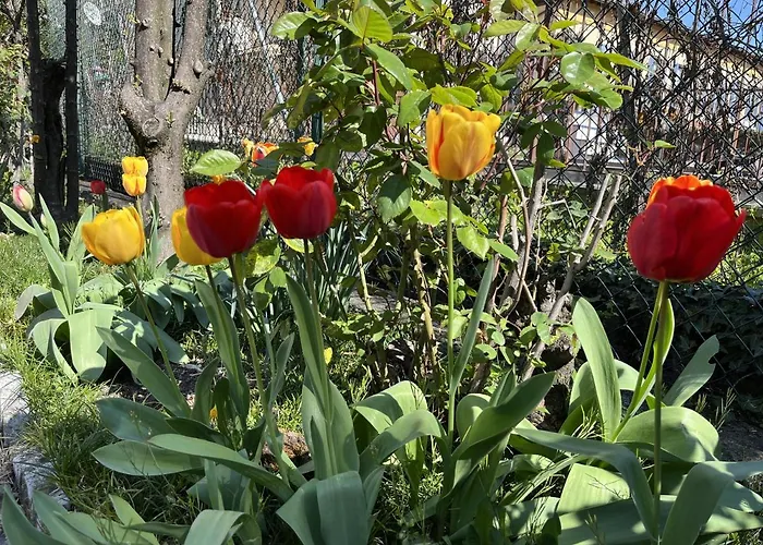 Feriehus Ca Del Fili