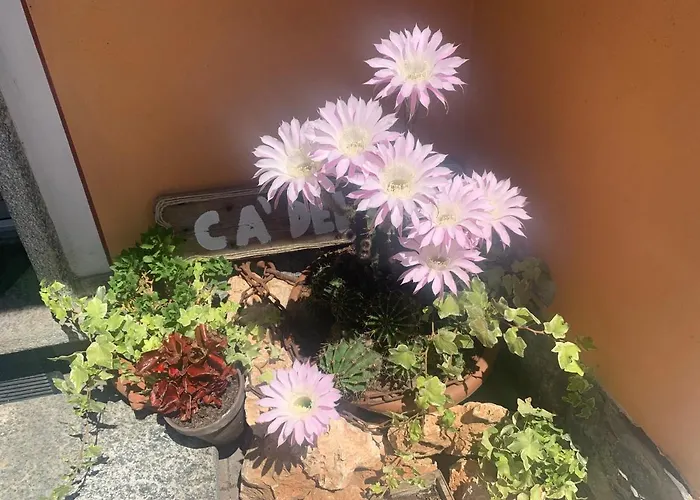 Ca Del Fili Feriehus *