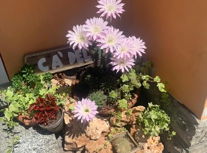 Feriehus Ca Del Fili *