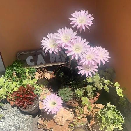 Ca Del Fili Prázdninový dům *